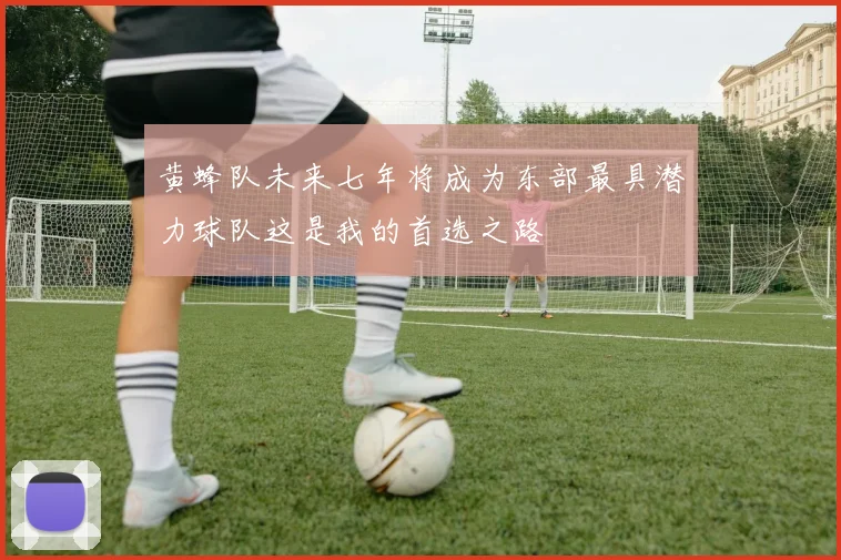 黄蜂队未来七年将成为东部最具潜力球队这是我的首选之路