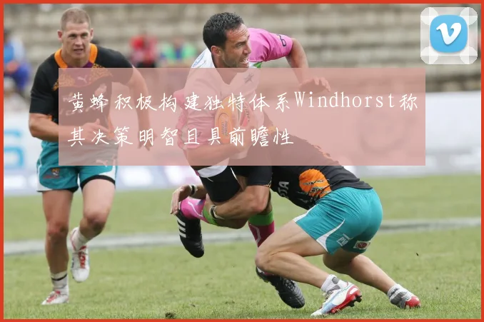 黄蜂积极构建独特体系Windhorst称其决策明智且具前瞻性